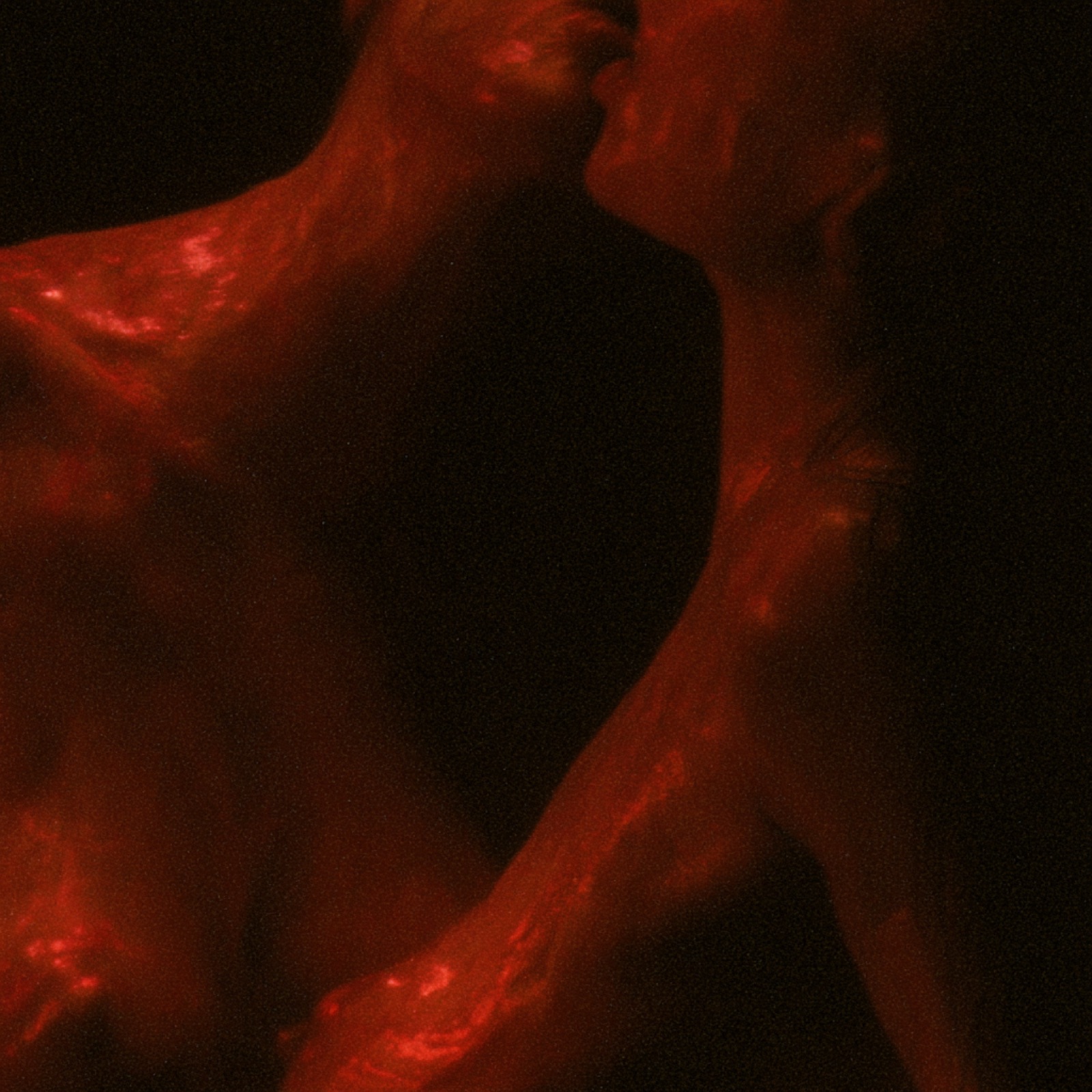 KISSING 148
