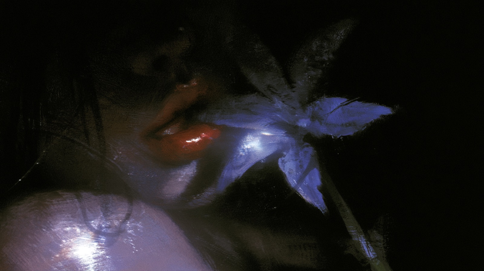 ORGANISM 239