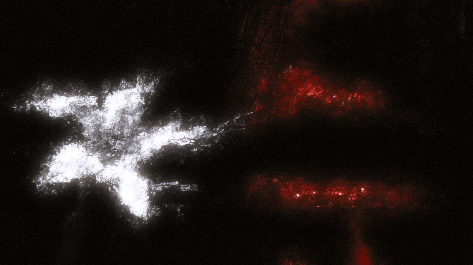 ORGANISM 240