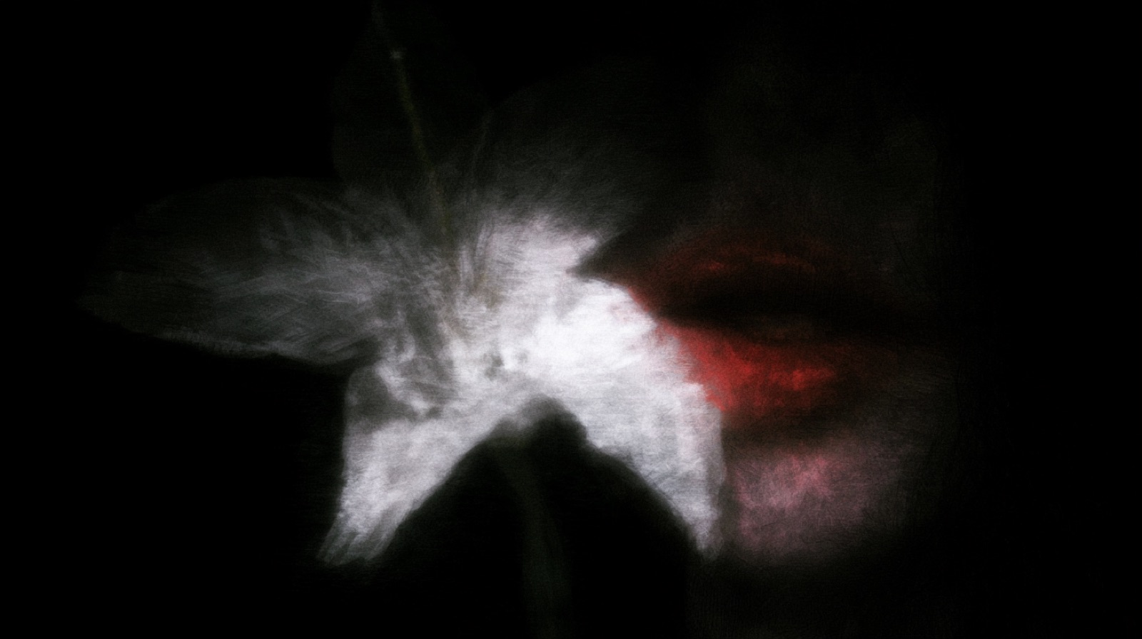 ORGANISM 242