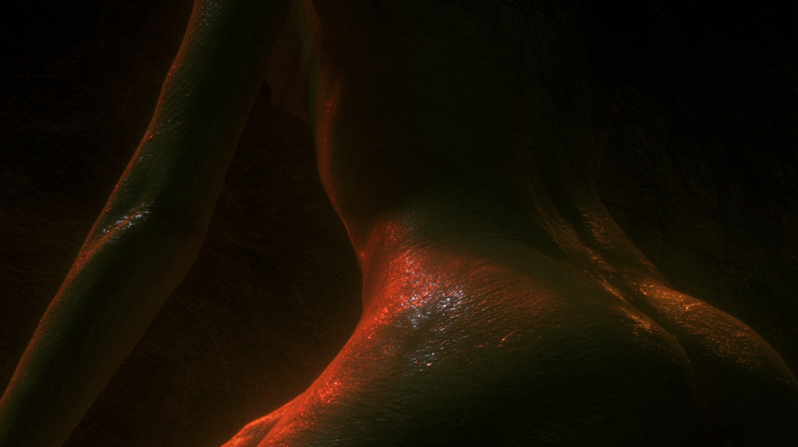 BODY 315