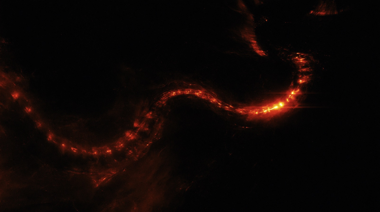 ORGANISM 352